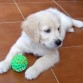 Zhar con dos meses, ya  sentia pasion por las pelotas